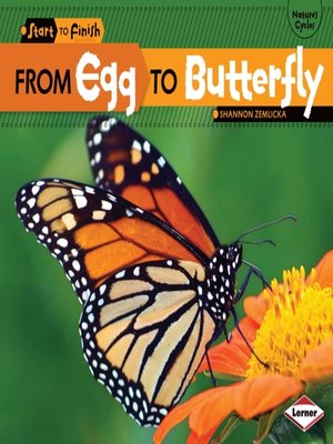 From Egg to Butterfly - Audiobook
